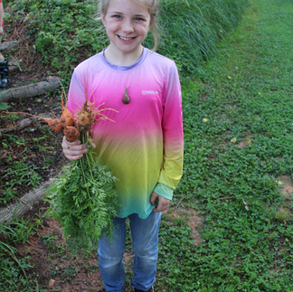ArrowsFarmClarkesvilleGA