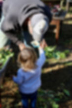 ArrowsFarmClarkesvilleGAhelpinghands