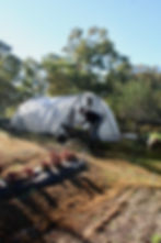 ArrowsFarmClarkesvilleGA